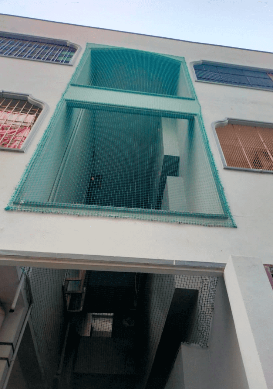 safetynets11
