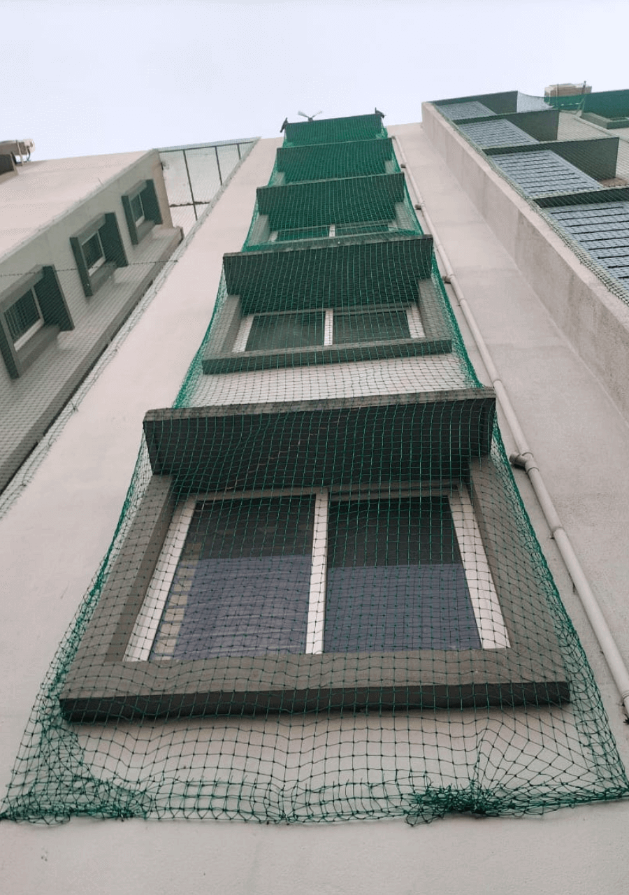 safetynets12