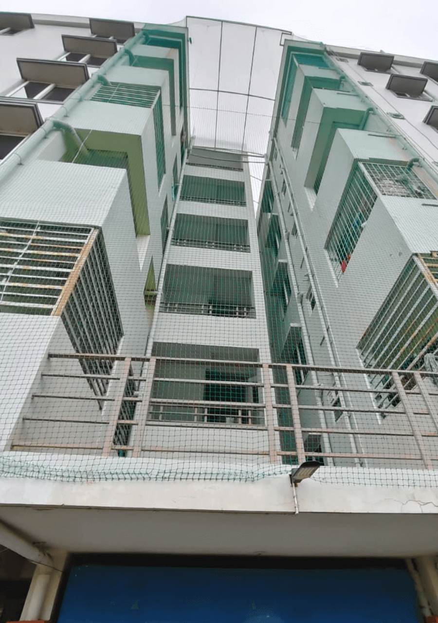 safetynets5