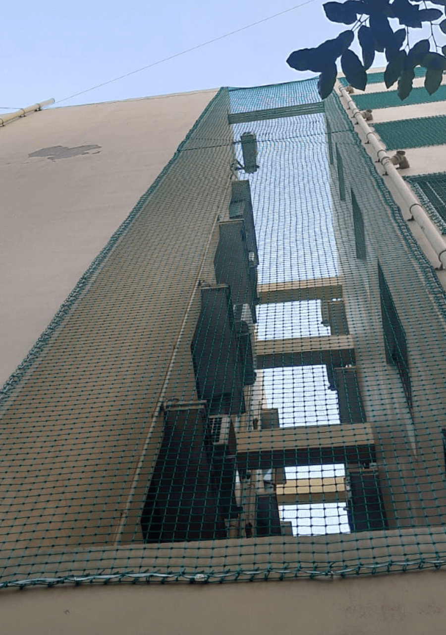safetynets8